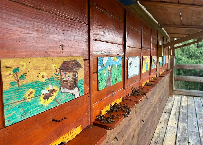 The Beehouse, Nature Stay